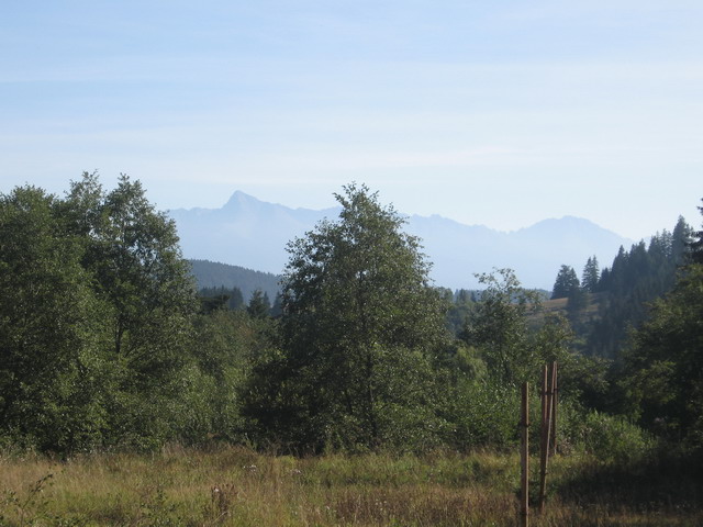 IMG_4397.jpg